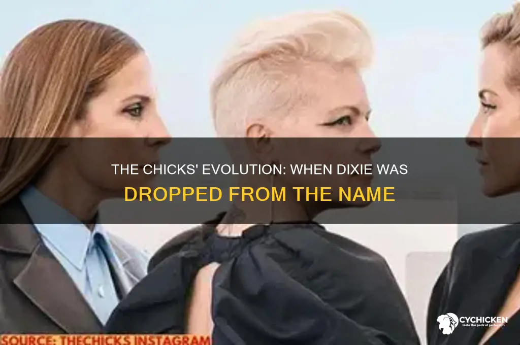 when did dixie chicks become the chicks