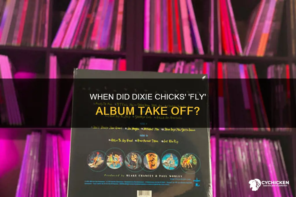 when did dixie chicks fly come out