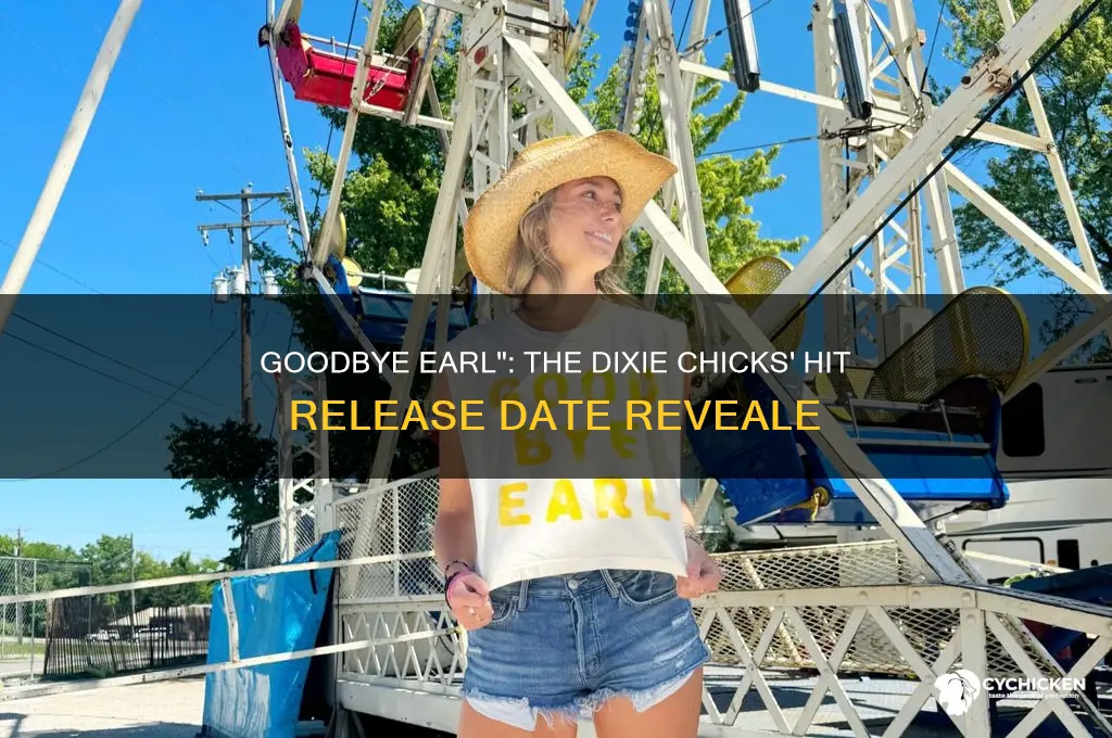 when did dixie chicks release goodbye earl