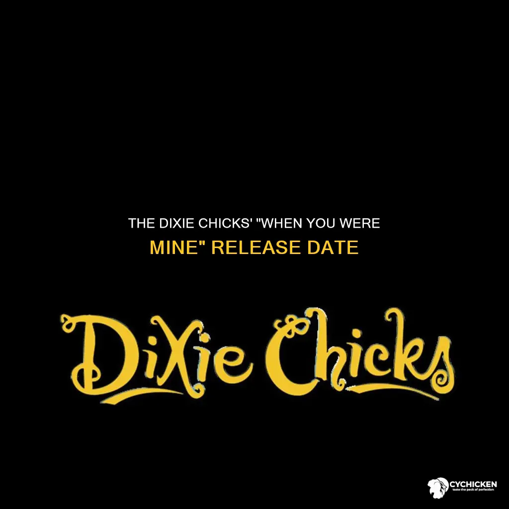 when did dixie chicks release when you were mine