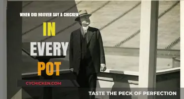 Hoover's Promise: A Chicken in Every Pot Revisited