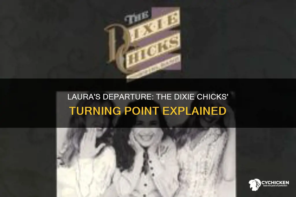 when did laura leave the dixie chicks