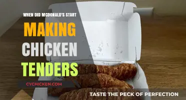 McDonald's Chicken Tenders: A History of Their Menu Debut