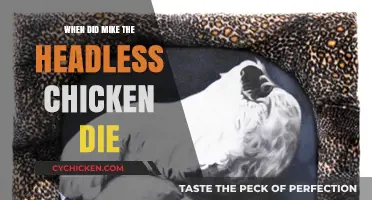 The Astonishing Tale of Mike: When Did the Headless Chicken Die?