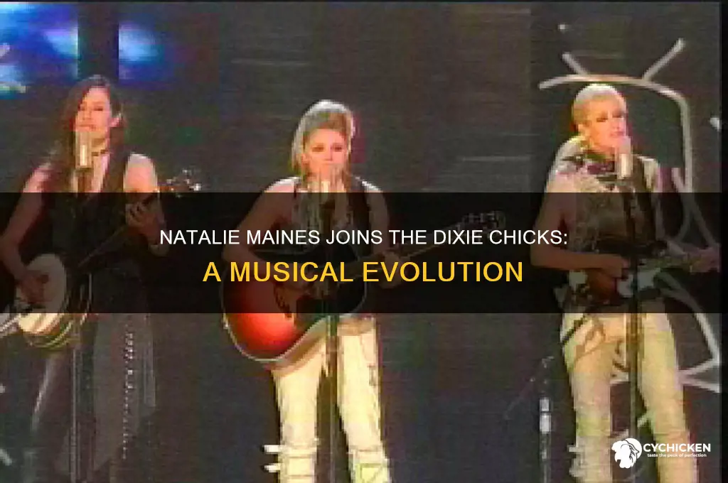 when did natalie maines join the dixie chicks