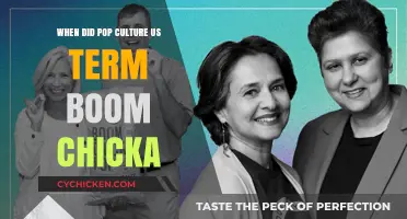 Boom Chicka's Pop Culture Journey: Origins and Evolution Explored