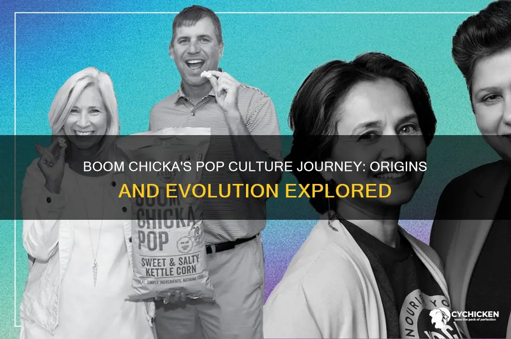 when did pop culture us term boom chicka