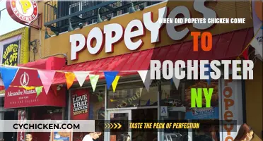 Popeyes Chicken Arrives in Rochester, NY: A Tasty Timeline