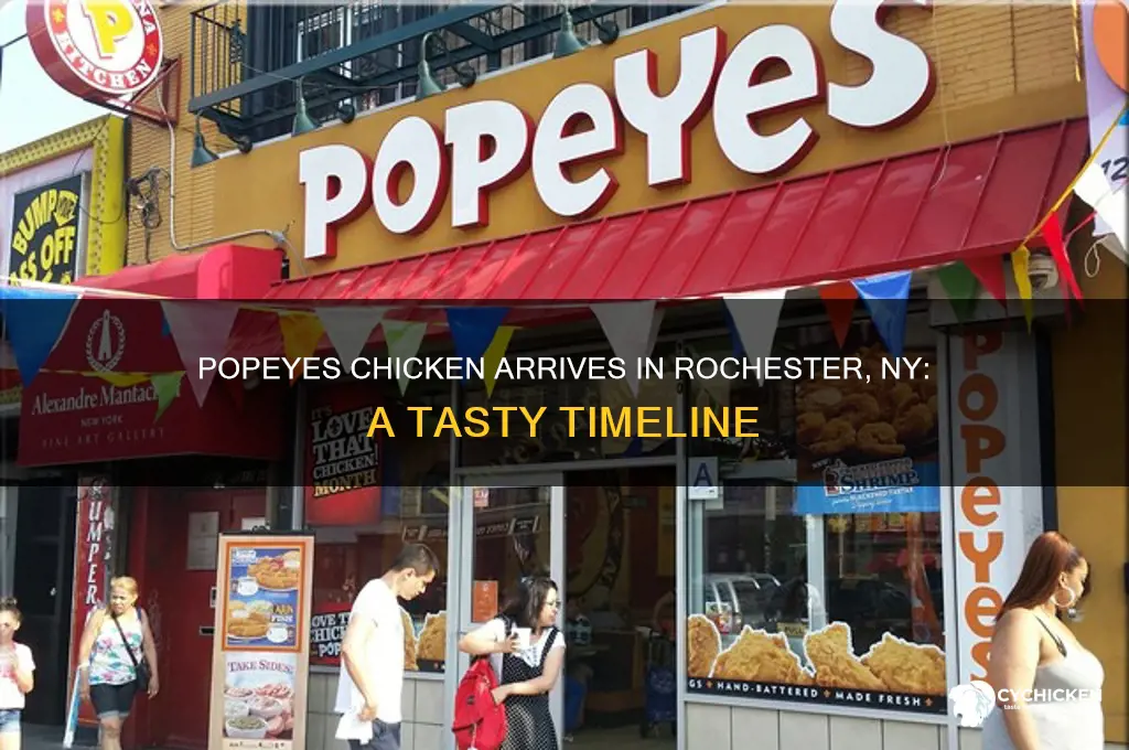 when did popeyes chicken come to rochester ny