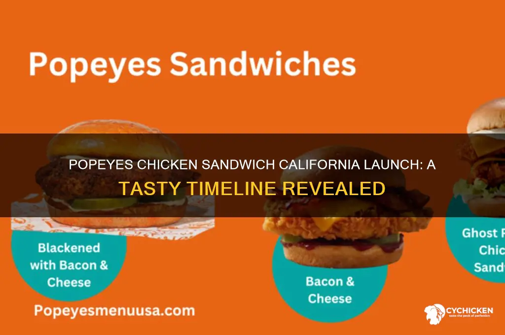 when did popeyes chicken sandwich come out in california