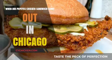 Popeyes Chicken Sandwich Launch in Chicago: A Tasty Timeline