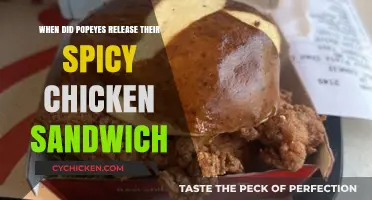 Popeyes Spicy Chicken Sandwich Launch: A Timeline of the Craze