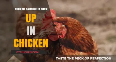 Tracing Salmonella's Emergence in Chicken: A Historical Overview