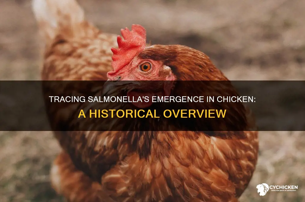when did salmonella show up in chicken
