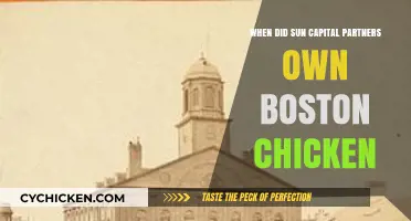 Sun Capital Partners' Ownership of Boston Chicken: A Timeline