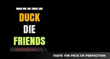The Tragic End of Friends' Chick and Duck: A Timeline
