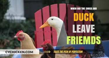 When Did the Chick and Duck Exit Friends?