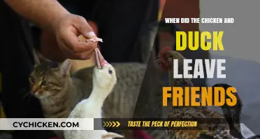 When Did the Chicken and Duck Exit Friends?