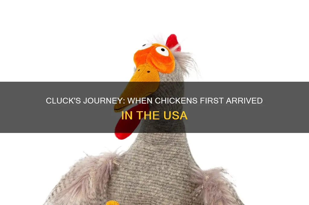 when did the chicken arrive in the usa