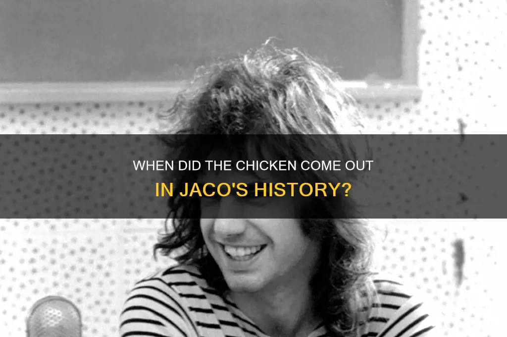 when did the chicken come out jaco