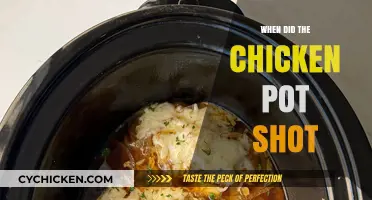 The Surprising Origins of Chicken Pot Shot: A Culinary Mystery Unveiled
