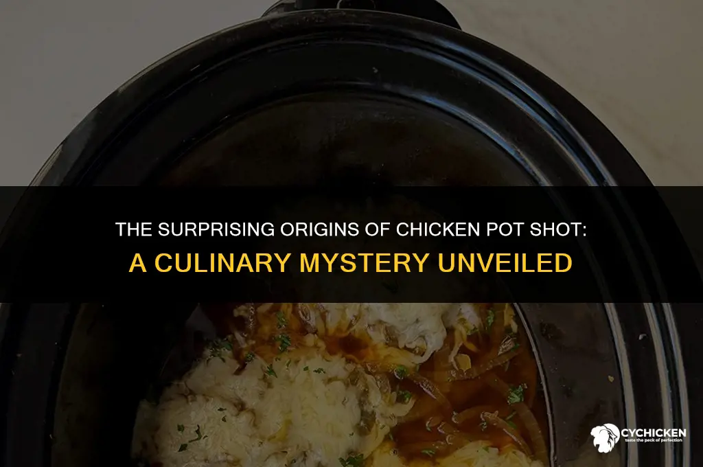 when did the chicken pot shot