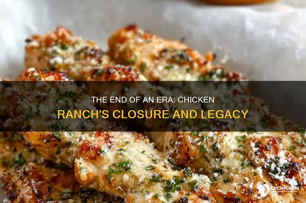 when did the chicken ranch close down