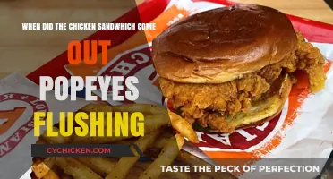 Popeyes' Chicken Sandwich: A Flushing Sensation