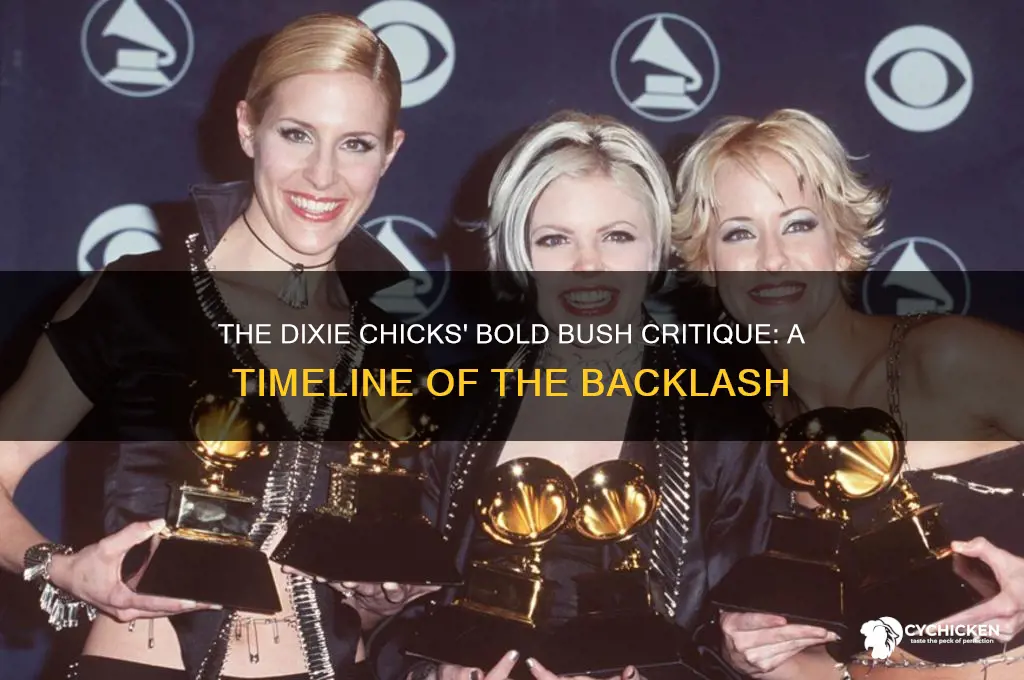 when did the dixie chicks bash bush