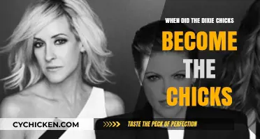 The Dixie Chicks' Name Change: A Journey to Becoming The Chicks