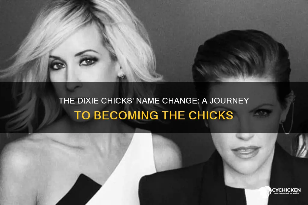 when did the dixie chicks become the chicks
