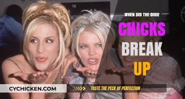 When Did the Dixie Chicks Break Up? The Untold Story