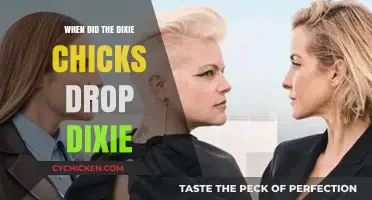 The Dixie Chicks' Name Change: Dropping 'Dixie' in 2020