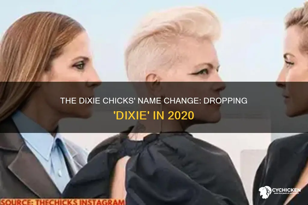 when did the dixie chicks drop dixie