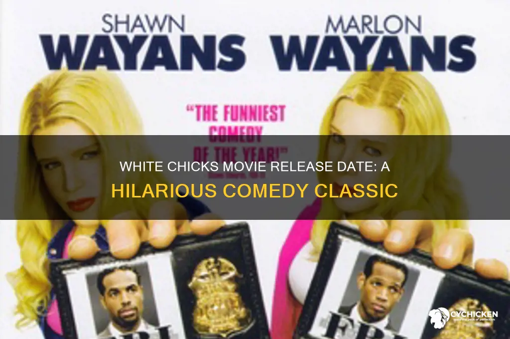 when did the movie white chicks come out