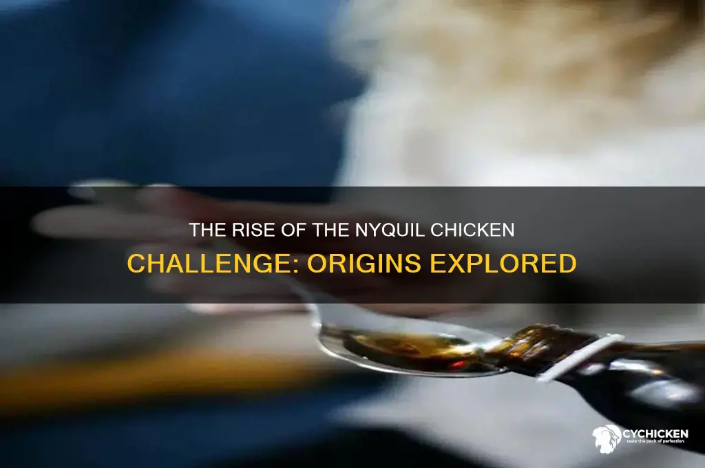 when did the nyquil chicken challenge start
