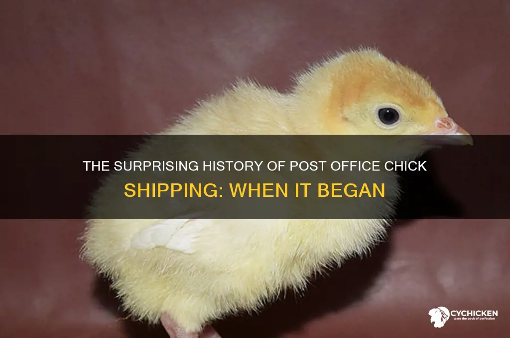 when did the post office start shipping chicks