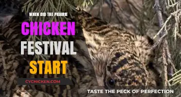 Prairie Chicken Festival Origins: A Journey Through Time and Tradition