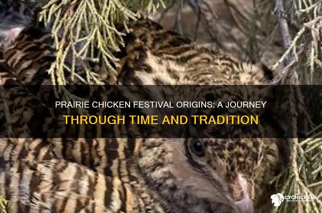 when did the prairie chicken festival start