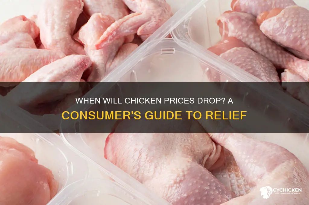 when did the price of chicken going down