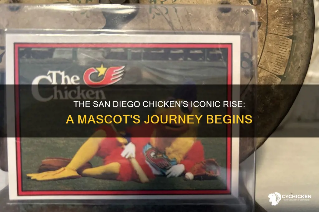 when did the san diego chicken start