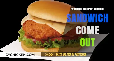 The Fiery Debut: When the Spicy Chicken Sandwich Arrived