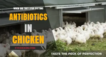 When Did Antibiotics in Chicken End? A Timeline Explained