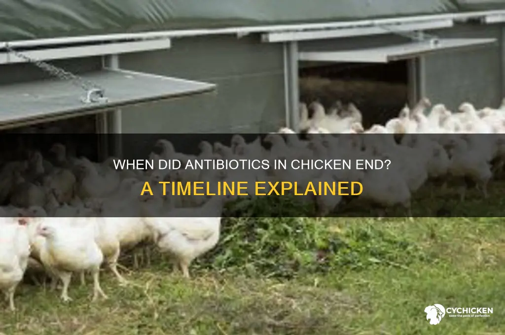 when did they stop putting antibiotics in chicken