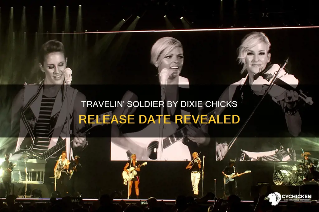 when did travelin soldier dixie chicks come out