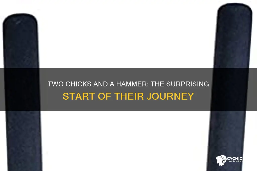 when did two chicks and a hammer start