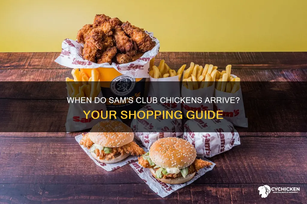 when do chicken come out at sams club