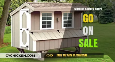 Find the Best Deals: When Do Chicken Coops Go on Sale?