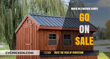 Feathered Bargains: The Ultimate Guide to Chicken Coop Sales