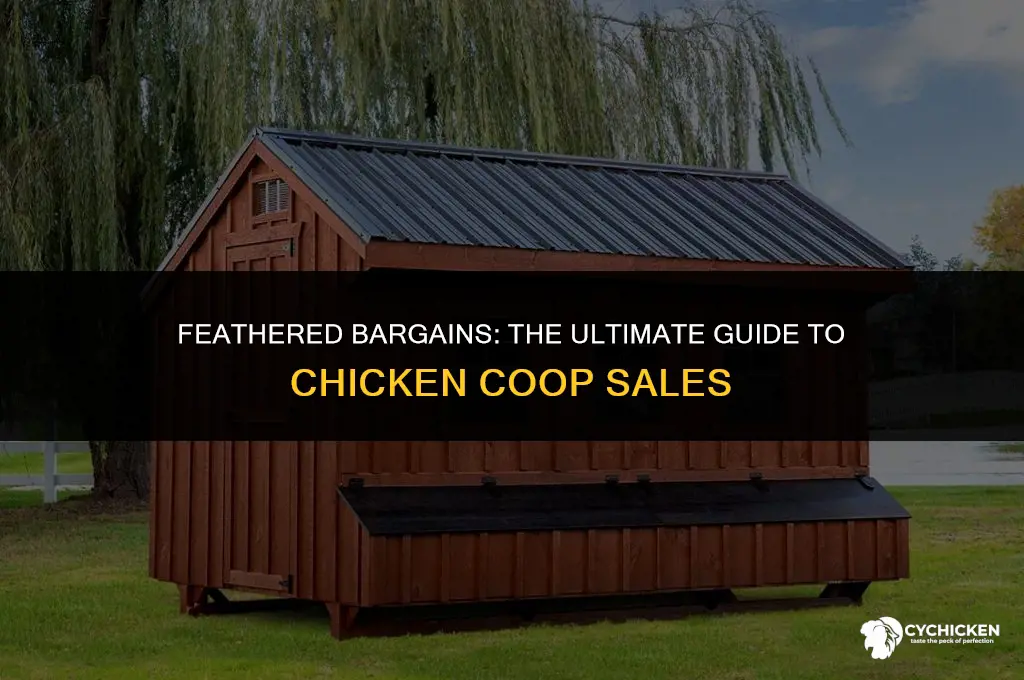 when do chicken coups go on sale